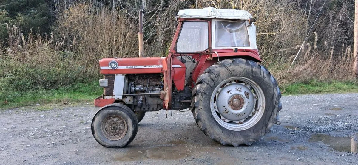 Massey ferguson 185 - Image 2