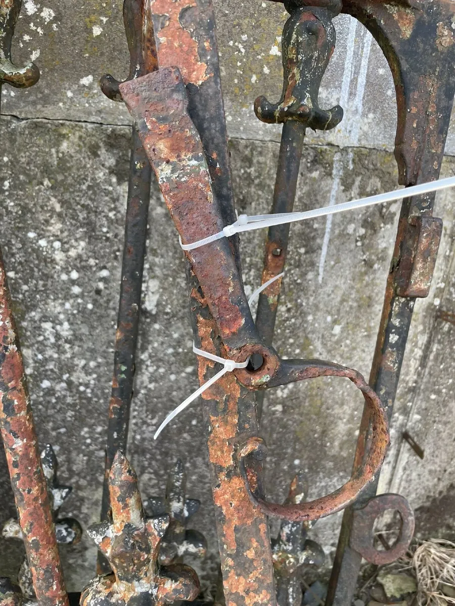 Stunning wrought iron gates - Image 4