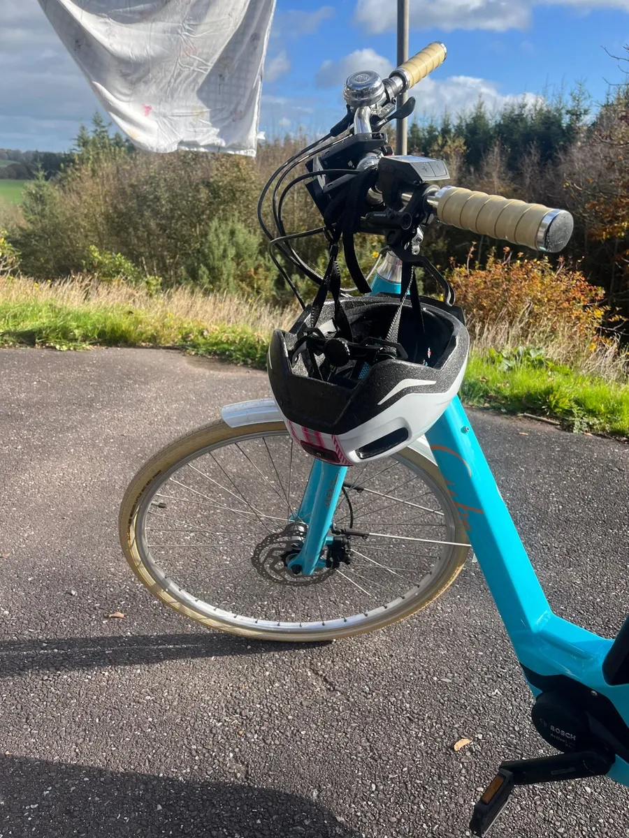 Electric bicycle - Image 3