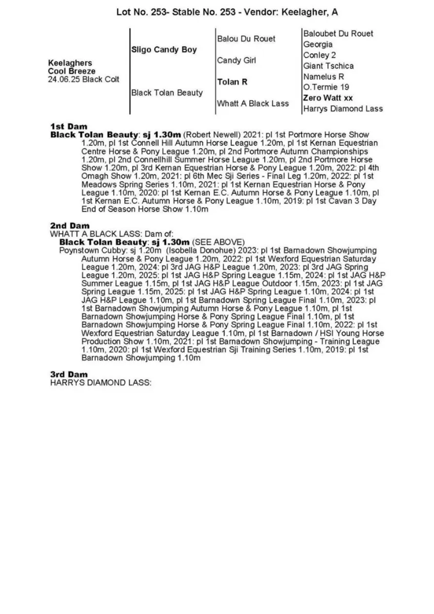 Sligo Candy Boy x Tolan R - Colt Foal - Image 2