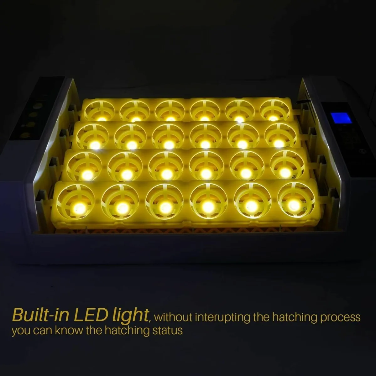 24-Egg  Auto Incubator with Digital Temp Control - Image 3