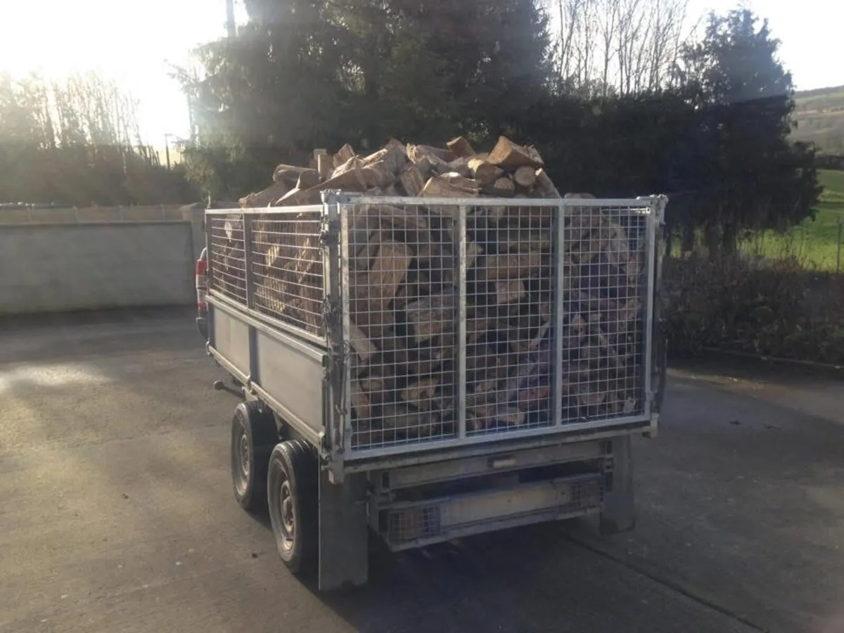 Coillte Ash Firewood 🪵 Burn Ready 🔥 - Image 2