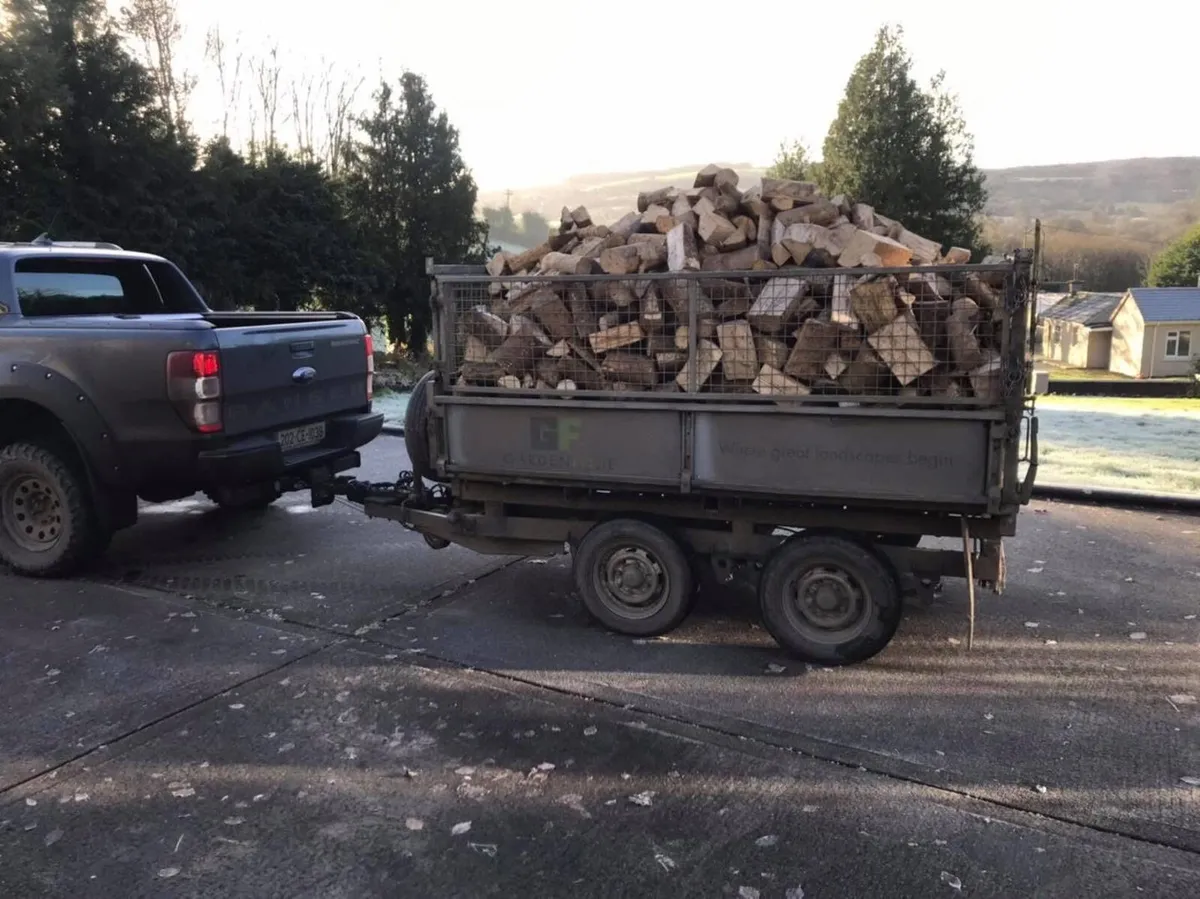Coillte Ash Firewood 🪵 Burn Ready 🔥 - Image 3