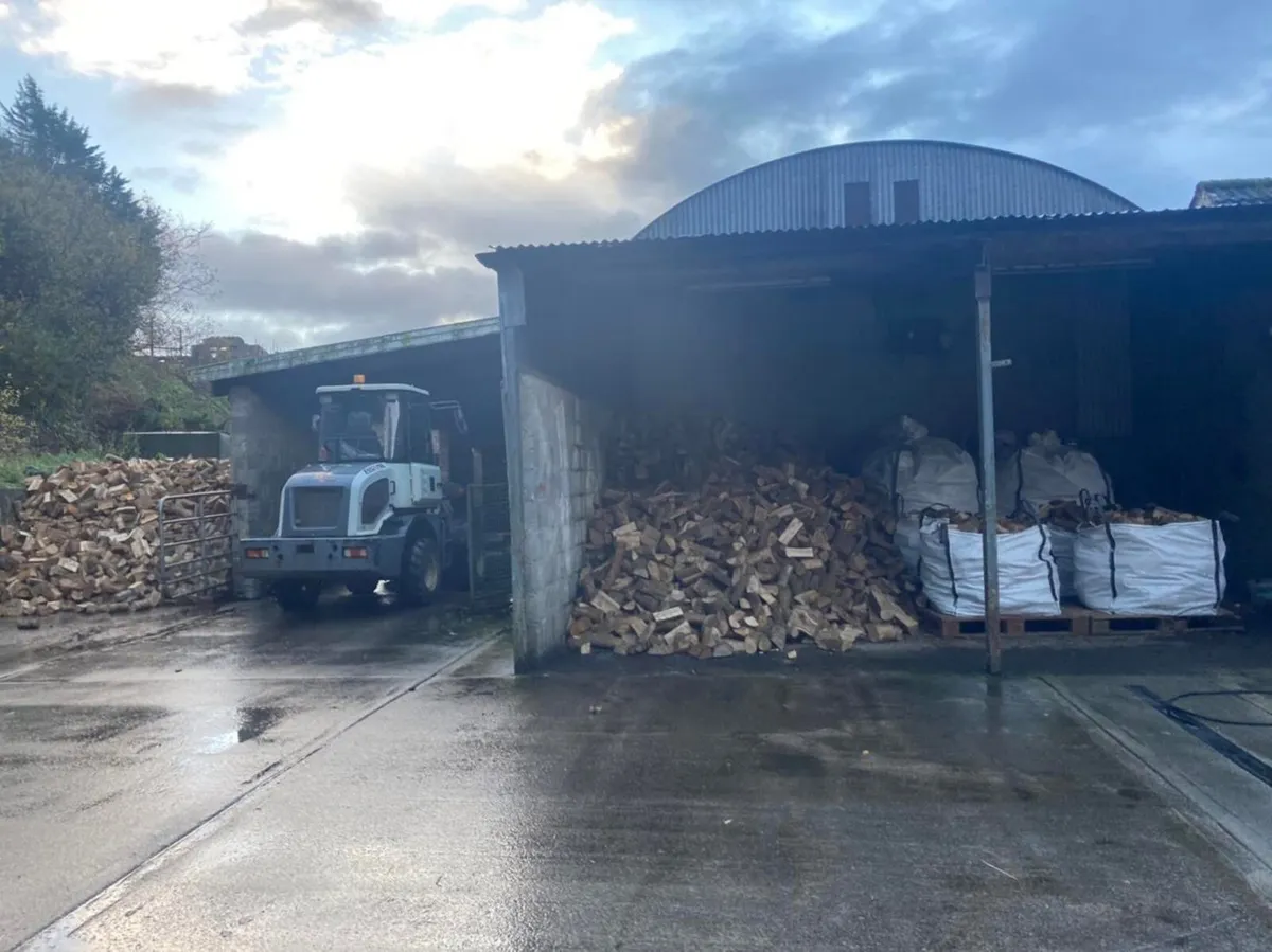 Coillte Ash Firewood 🪵 Burn Ready 🔥 - Image 4