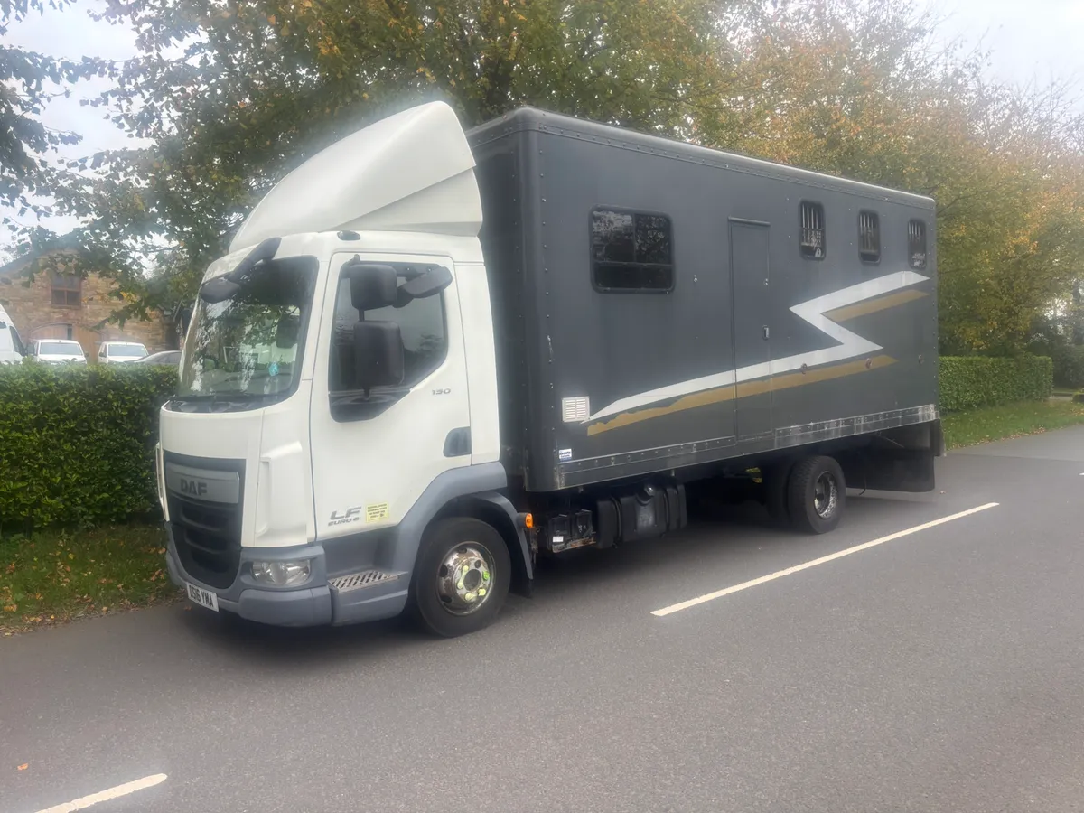 Daf lf horse box - Image 1