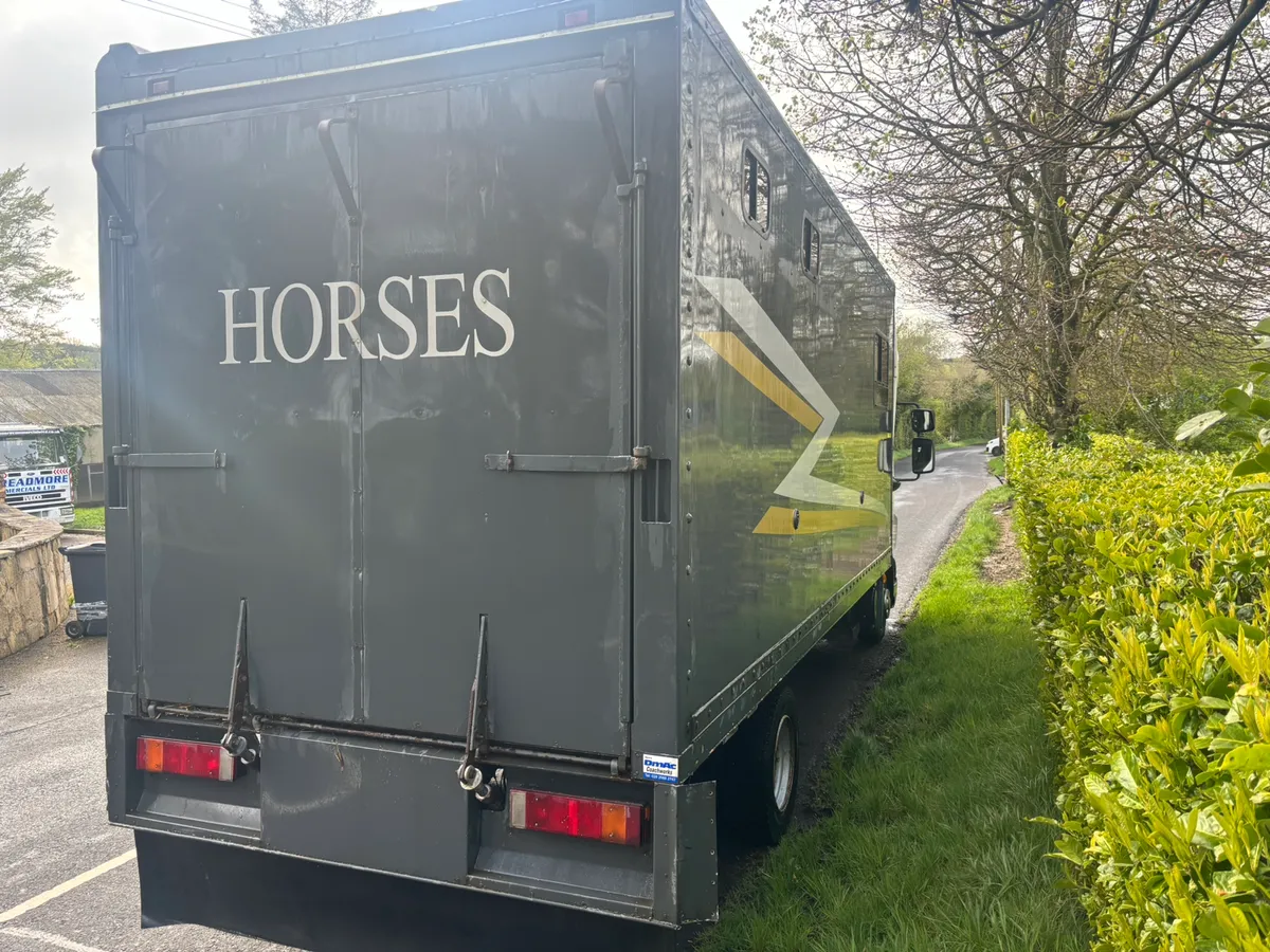 Daf lf horse box - Image 2