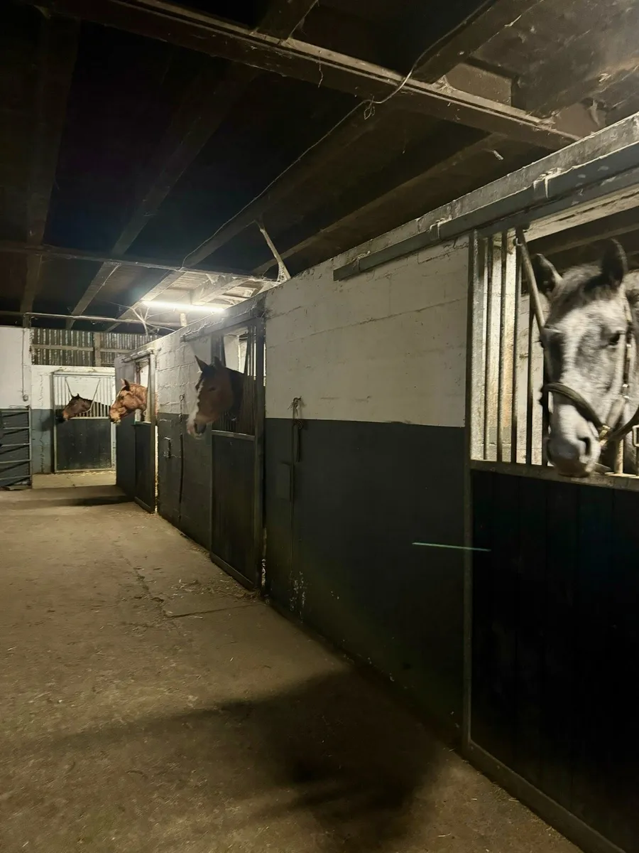 🐴 Hotel, full-retirement-assisted-sales livery - Image 2