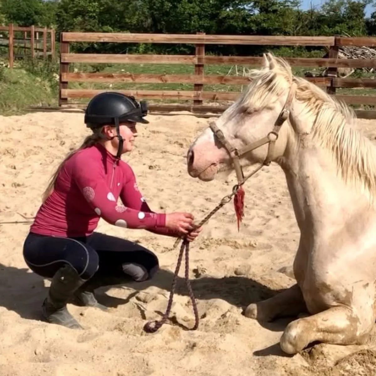 🐴 Hotel, full-retirement-assisted-sales livery - Image 3