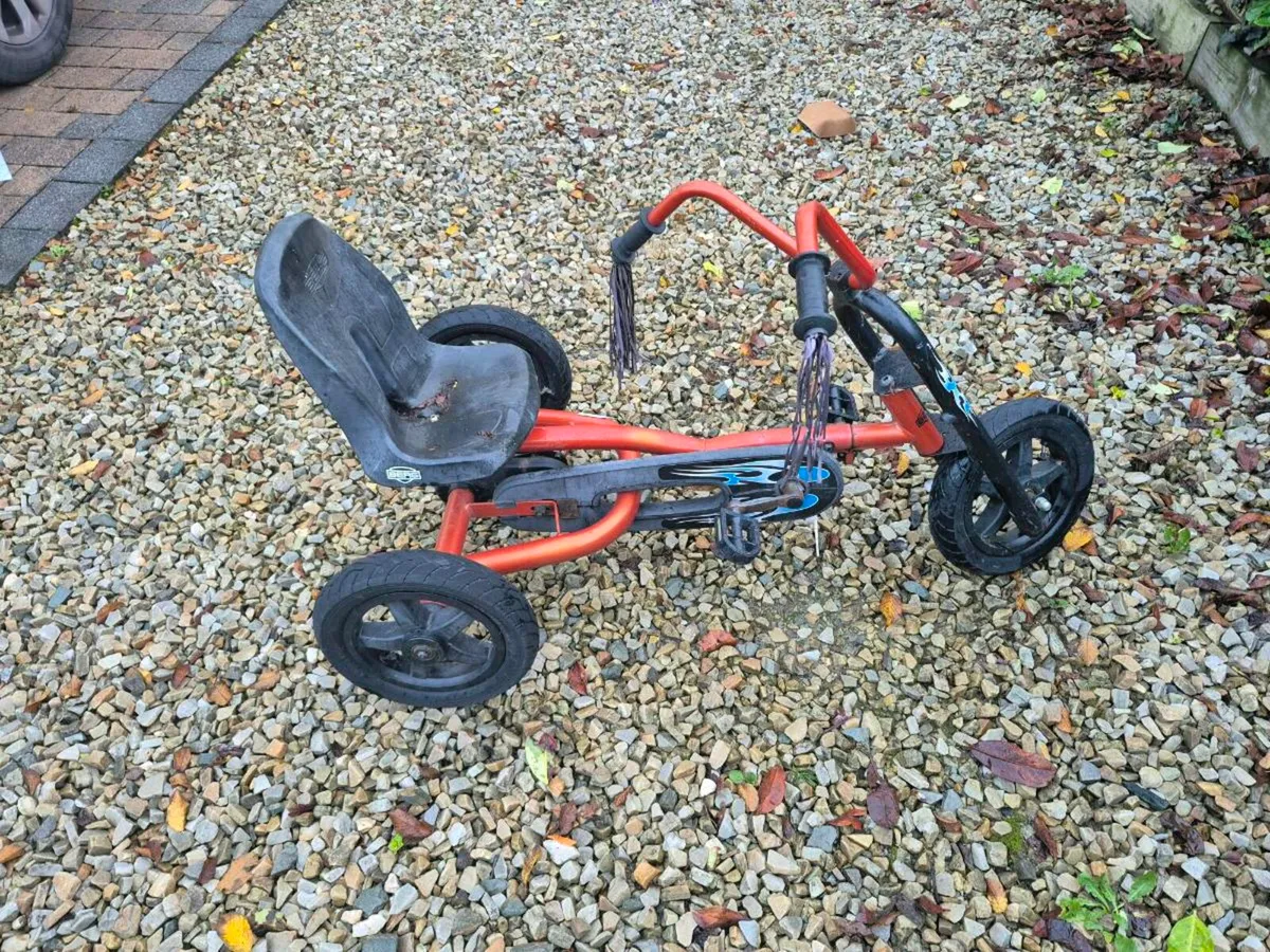 Berg go kart - Image 1