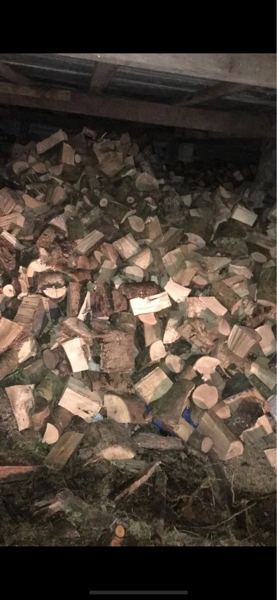 Ash firewood - Image 2