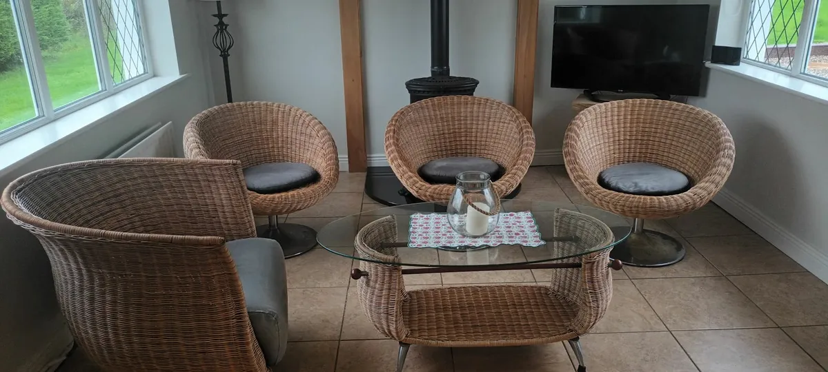 Wicker Furniture - Image 1