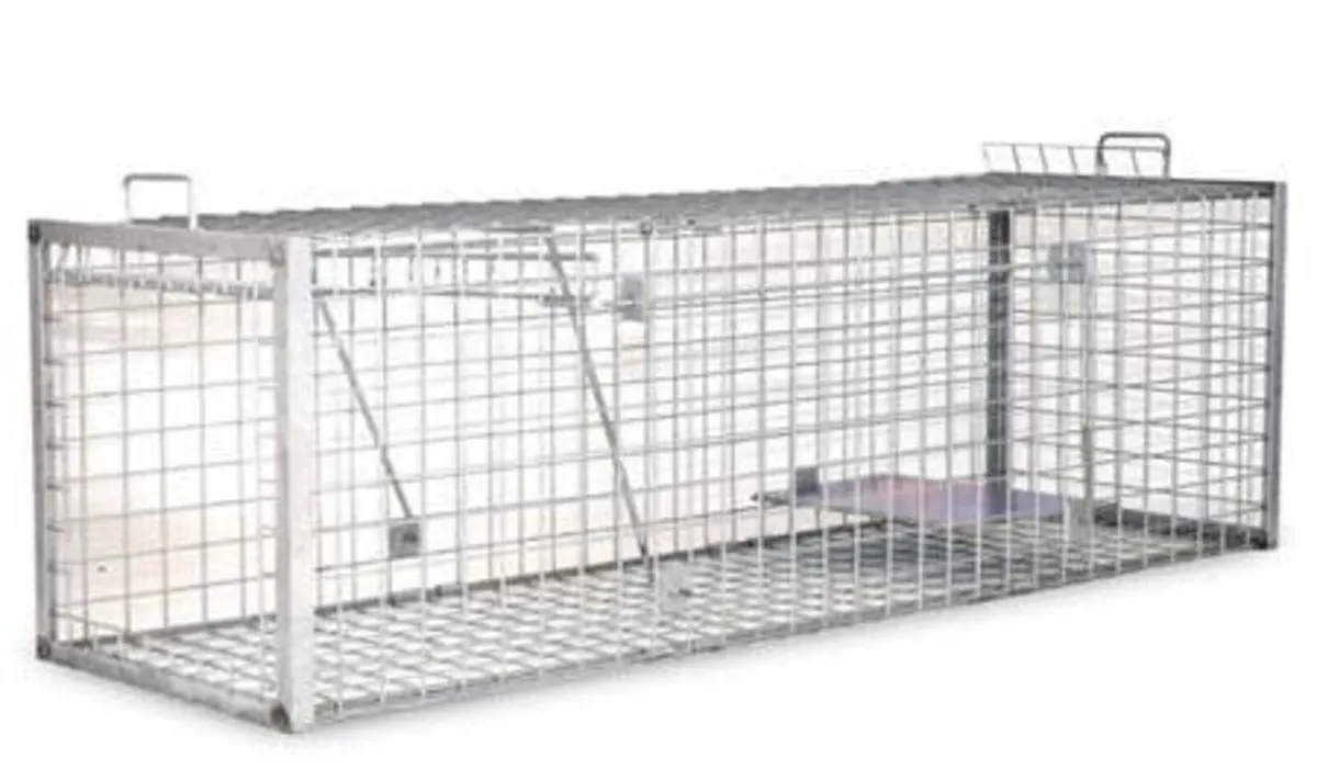 Live Catch Fox Cage - Image 1