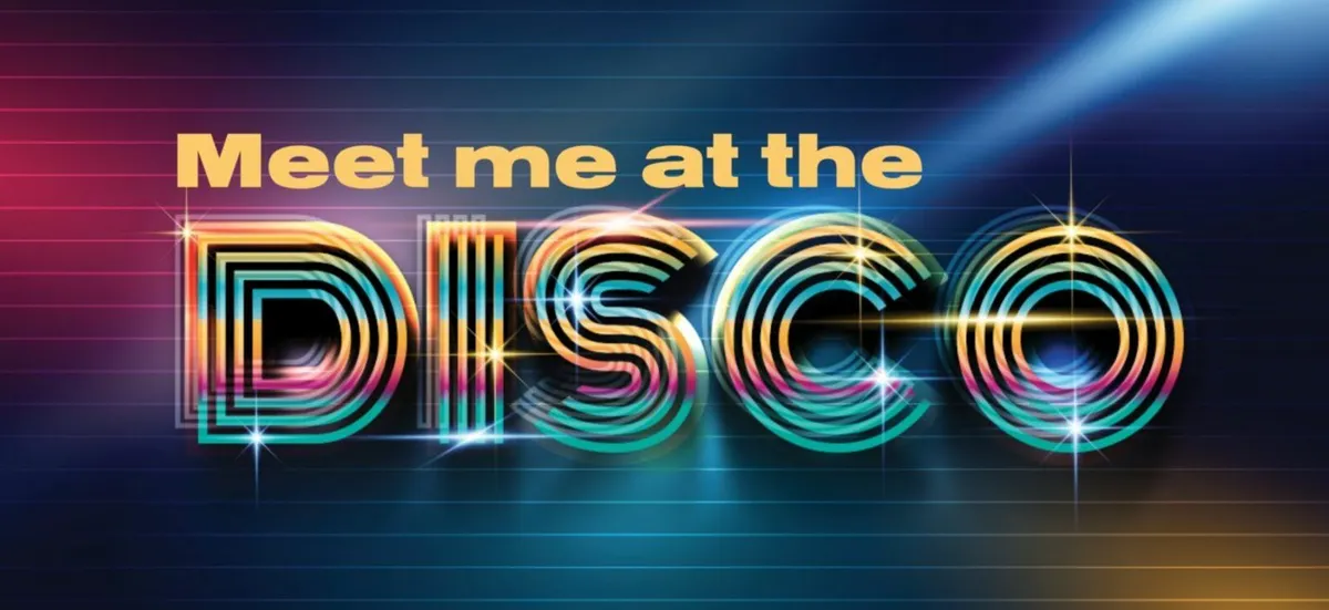 Party DJ / Karaoke - Image 3