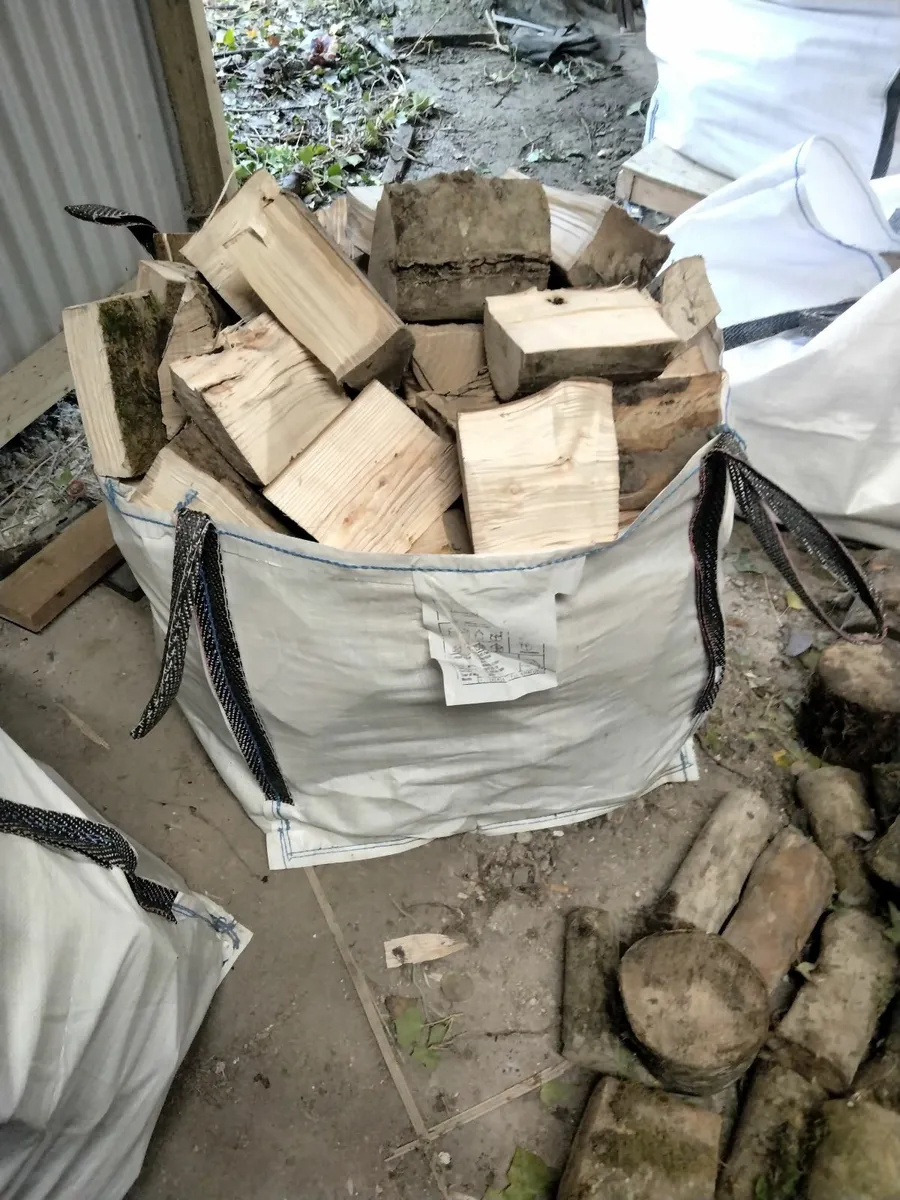 Firewood Ash - Image 2