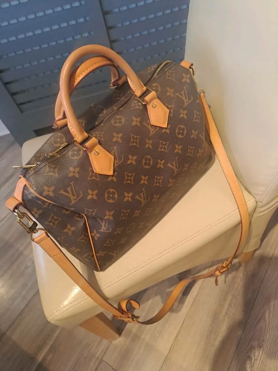 Louis Vuitton bag - Image 1