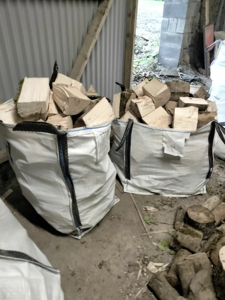 Firewood Ash - Image 3