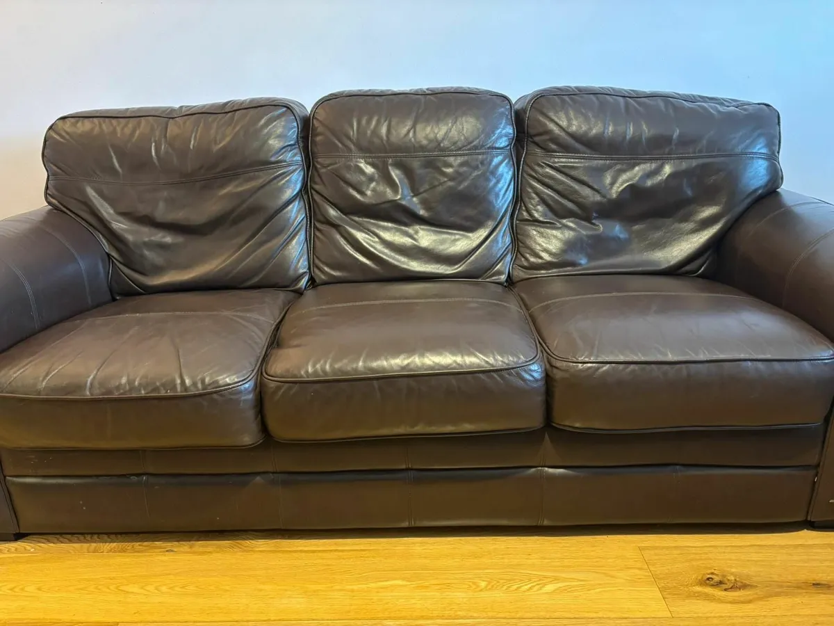 2 Seater and 3 seater leather couches - Image 2