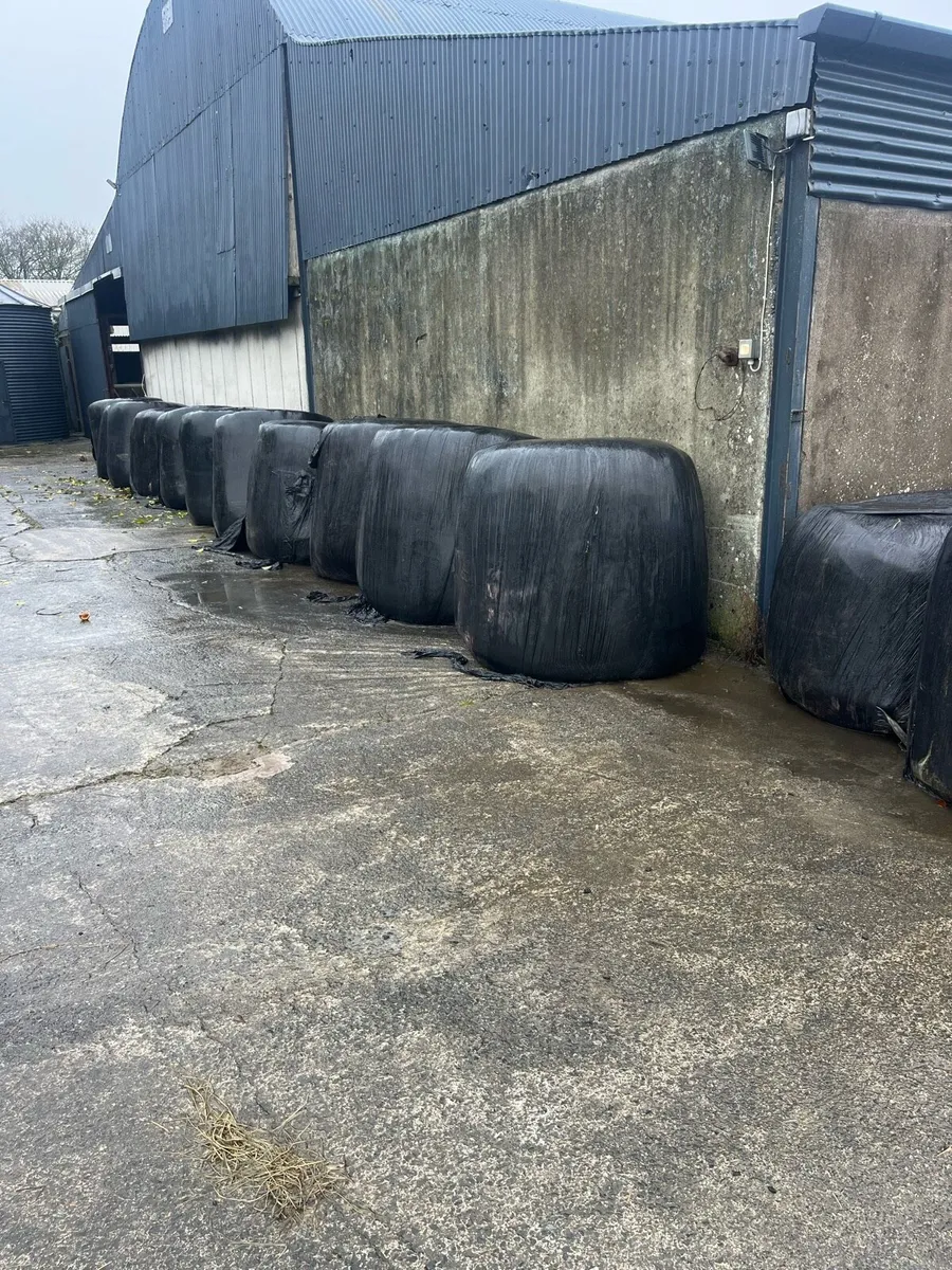 Bale silage - Image 1