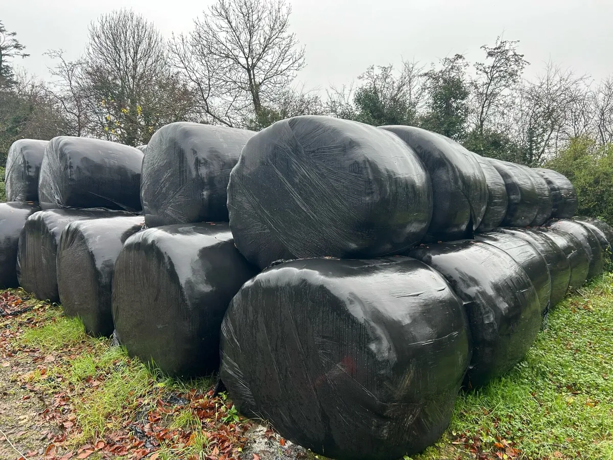 Round bales Silage - Image 1