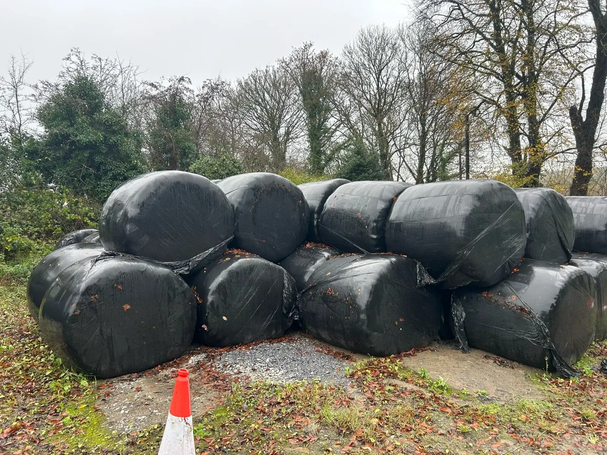 Round bales Silage - Image 3