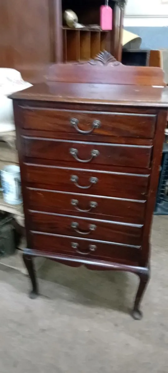 Early 20th Century Mahogany Music Cabinet - Image 1