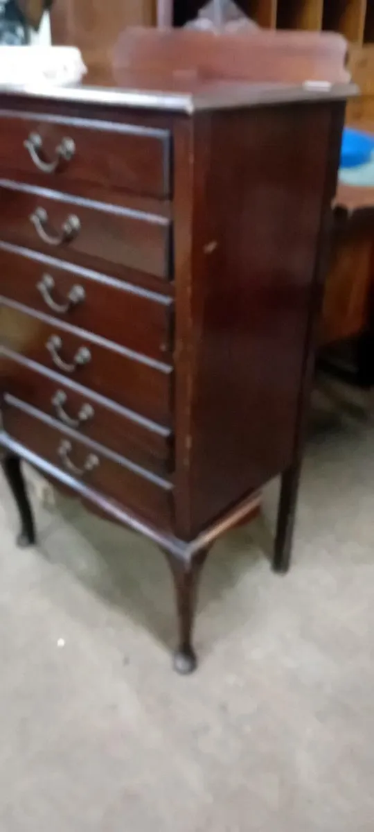 Early 20th Century Mahogany Music Cabinet - Image 3