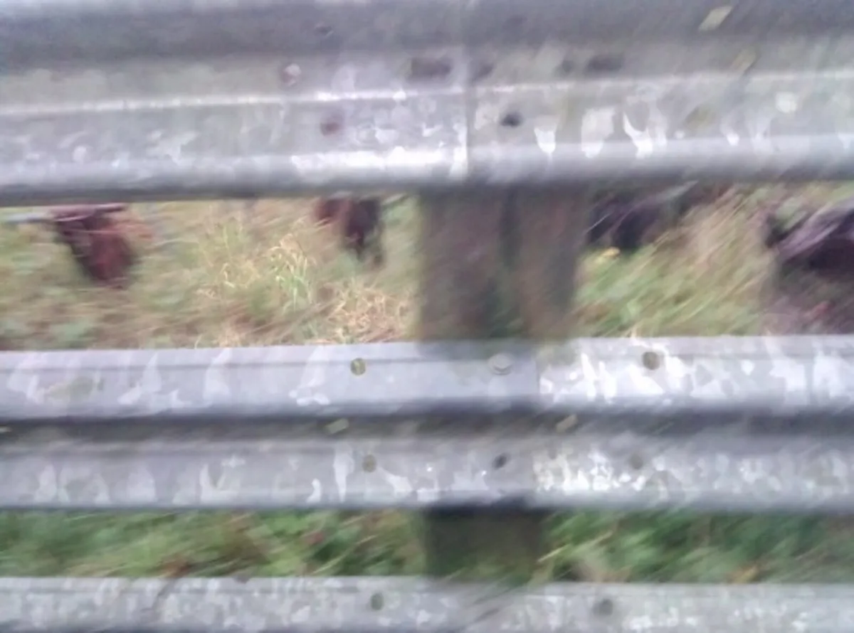 Crash Barriers for sale - Image 2