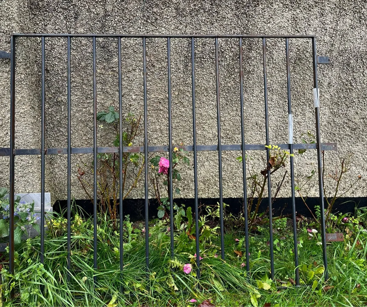 Metal/Iron Gates - Image 1