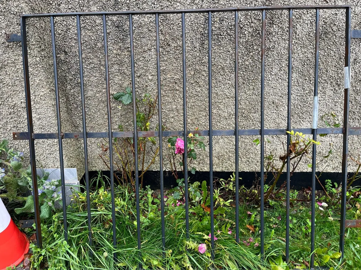 Metal/Iron Gates - Image 4