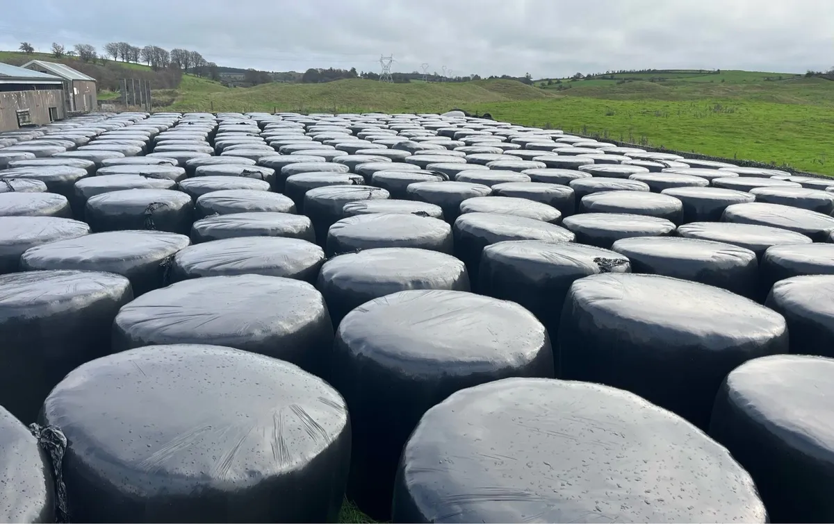 Bales of Silage - Image 2