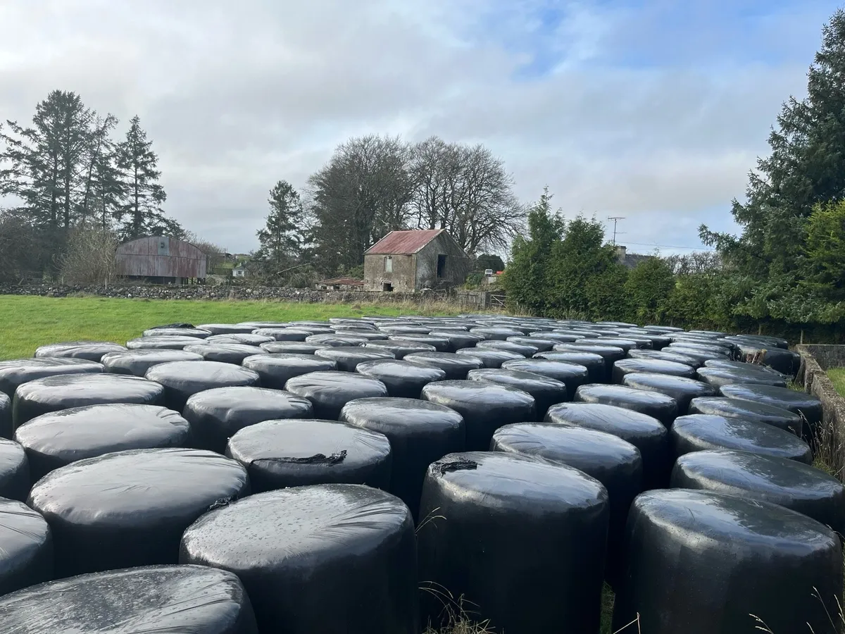 Bales of Silage - Image 1