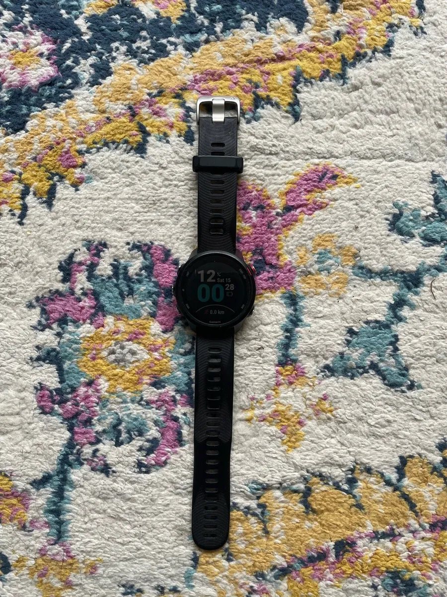 Garmin Forerunner 245 Music - Image 2