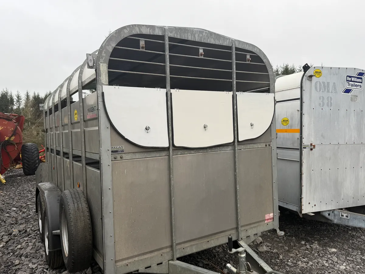 Nugent 12x6 Cattle Trailer - Image 1