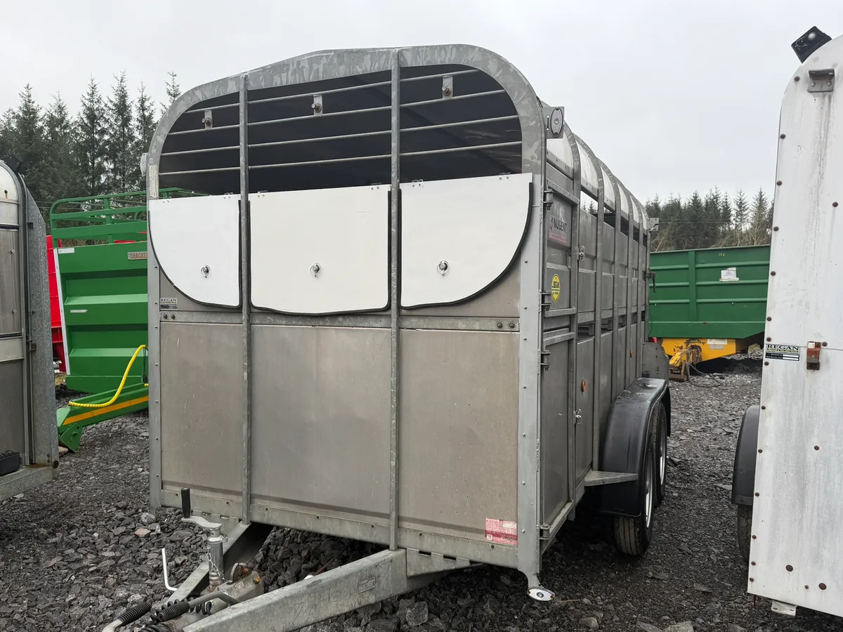 Nugent 12x6 Cattle Trailer - Image 2