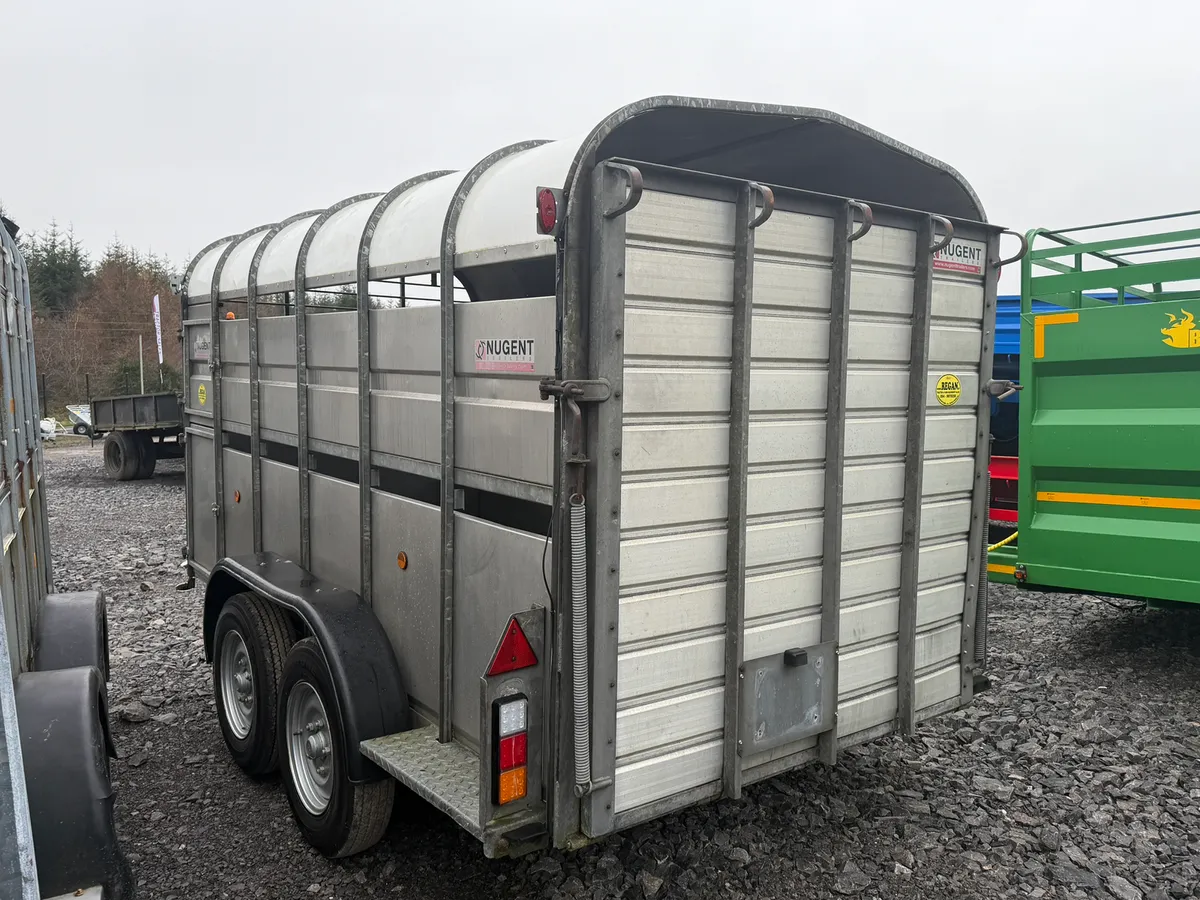 Nugent 12x6 Cattle Trailer - Image 3