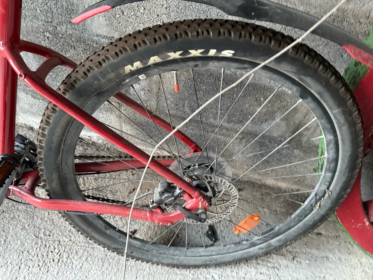 Giant mountain bike - Image 2