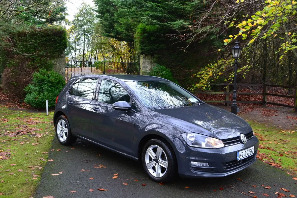 Volkswagen Golf 1.6 TDI - Image 2
