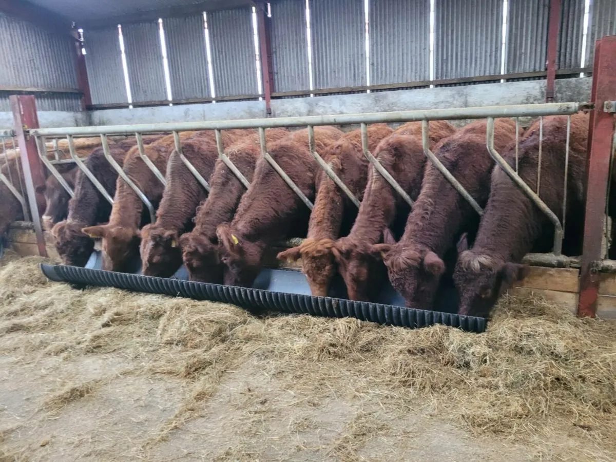 Store bullock's - Image 2