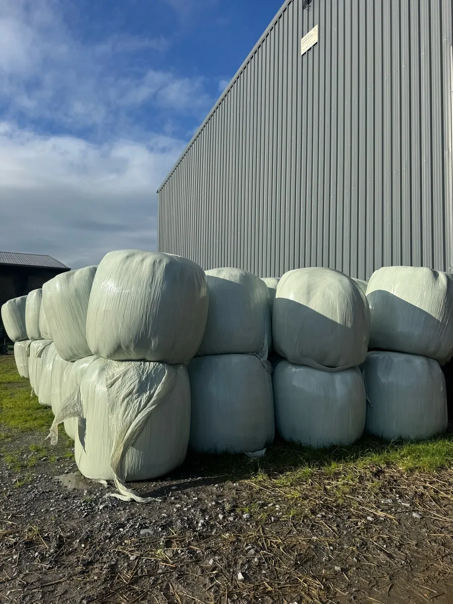 Top quality Hay,Straw, Silage and Haylage - Image 2