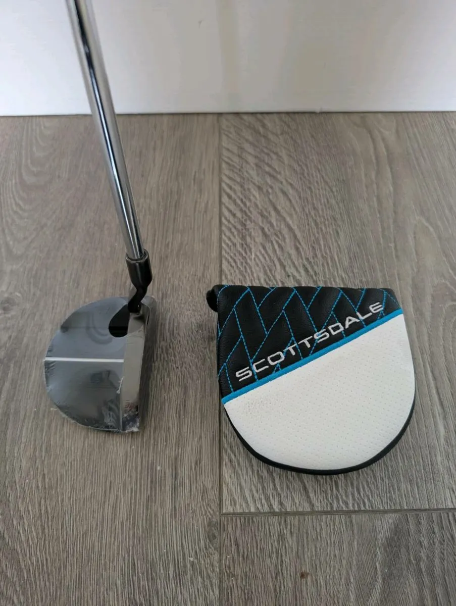 Ping Golf Putter - Image 1