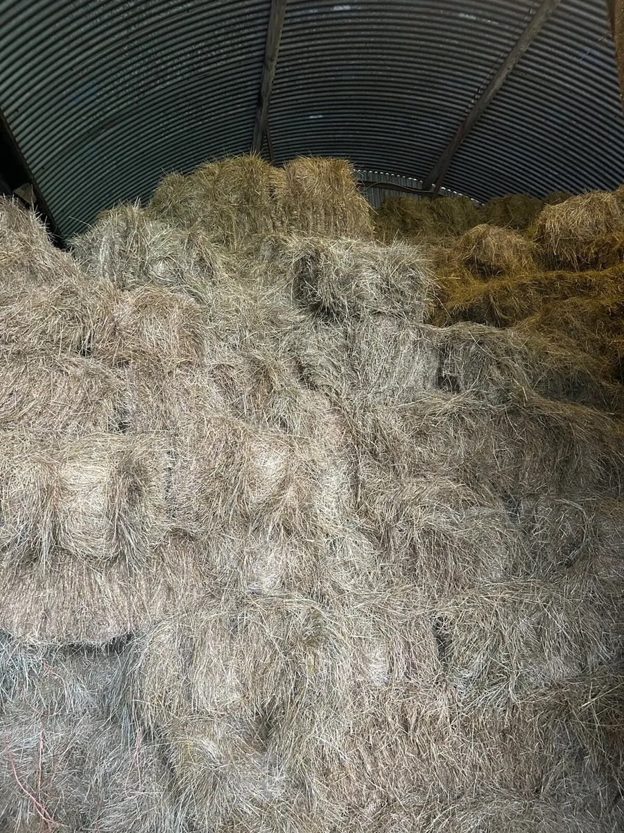 Small sqaure bales hay