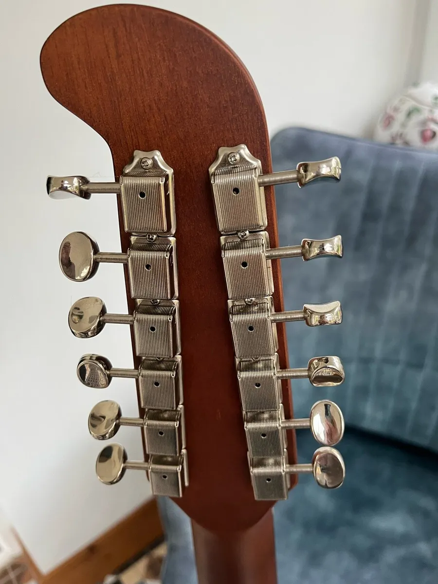 Fender Villager and Case - Image 4