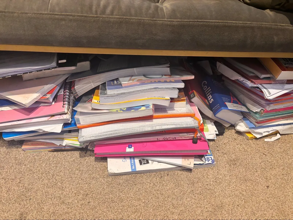 Junior cert books - FREE