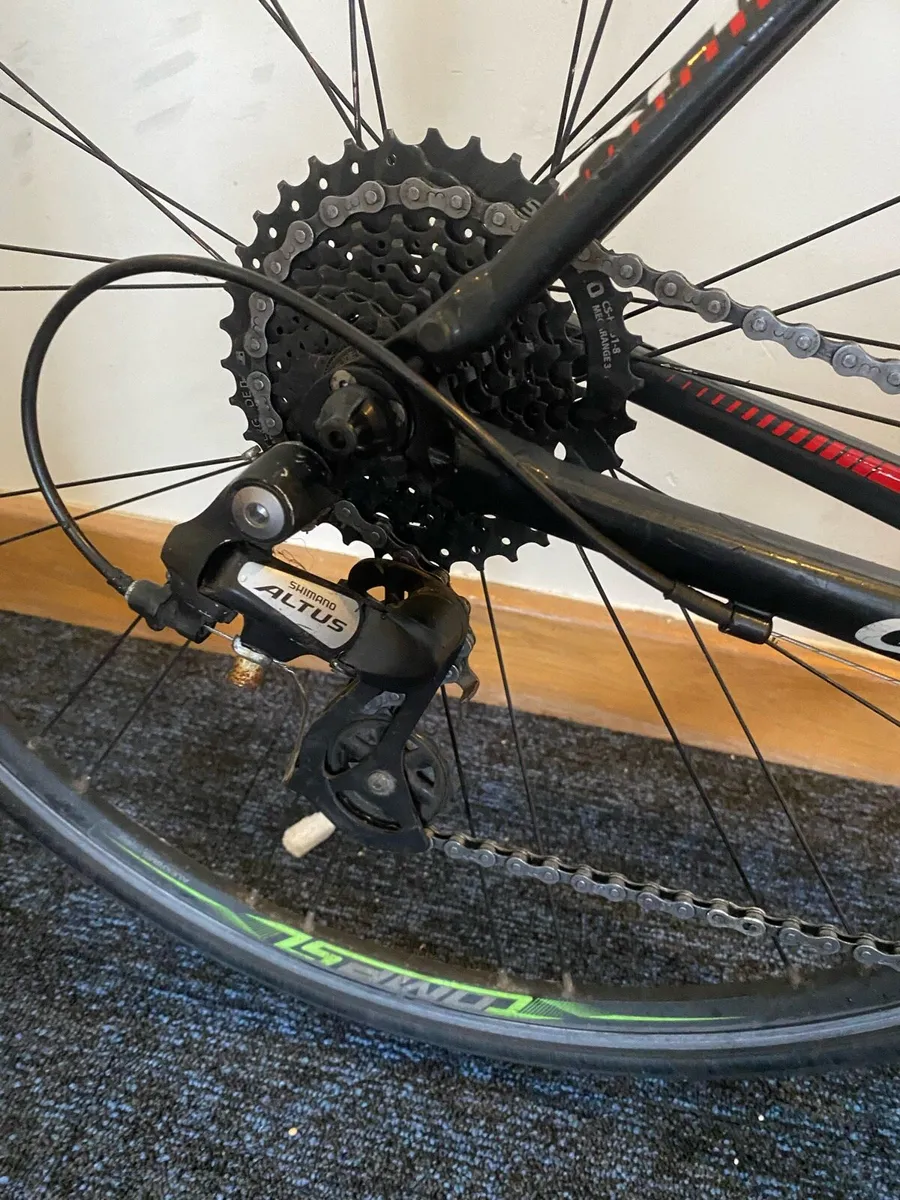 Giant Rapid - Image 2