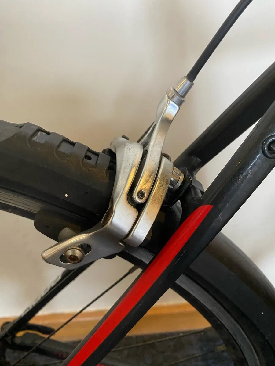 Giant Rapid - Image 3