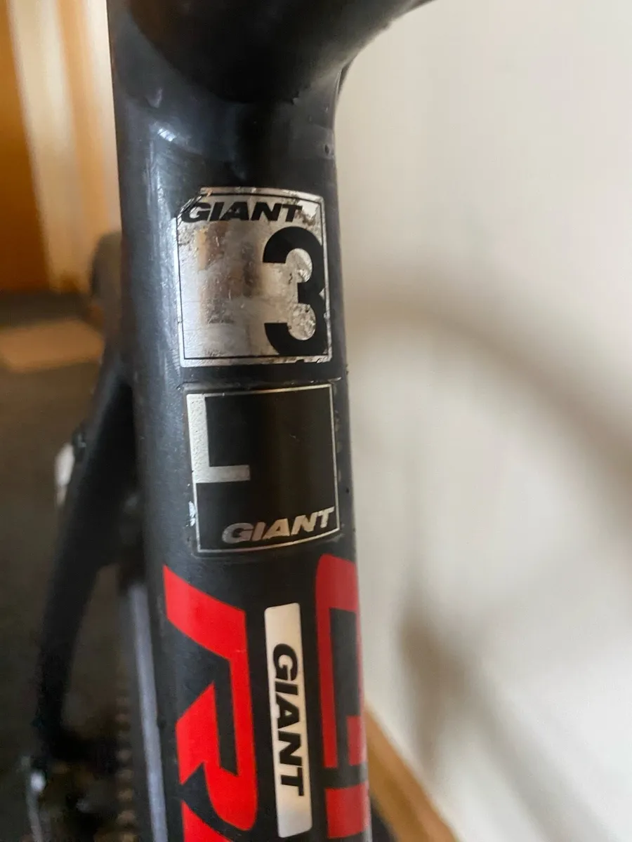 Giant Rapid - Image 4