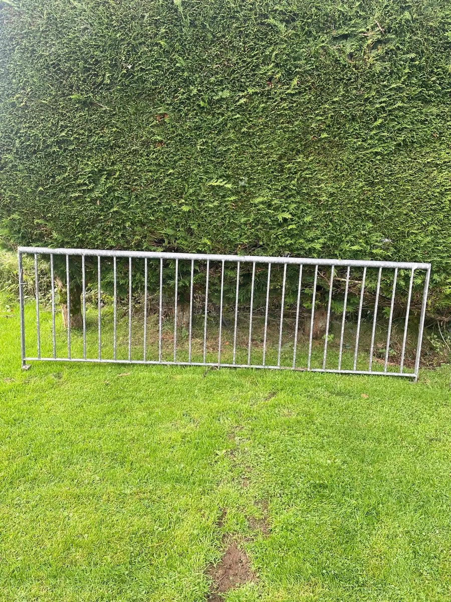 Cast Iron Railings - Image 1