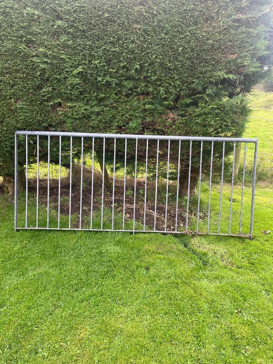 Cast Iron Railings - Image 3