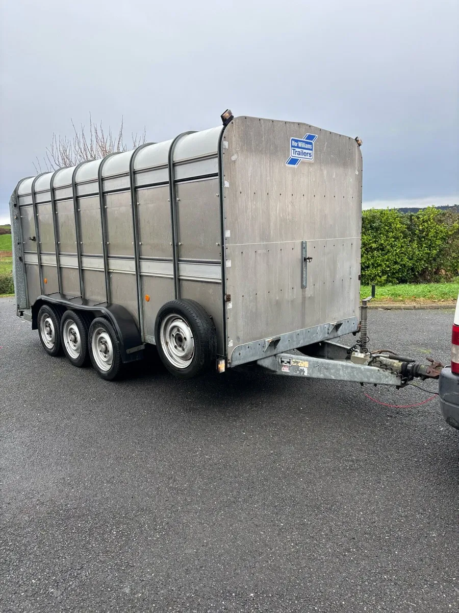 14x6 Ifor Williams cattle box - Image 1