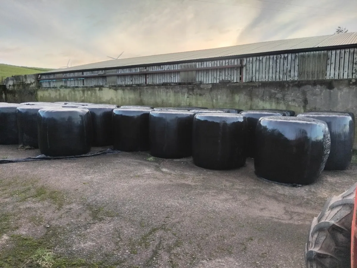 Round Bales - Image 2